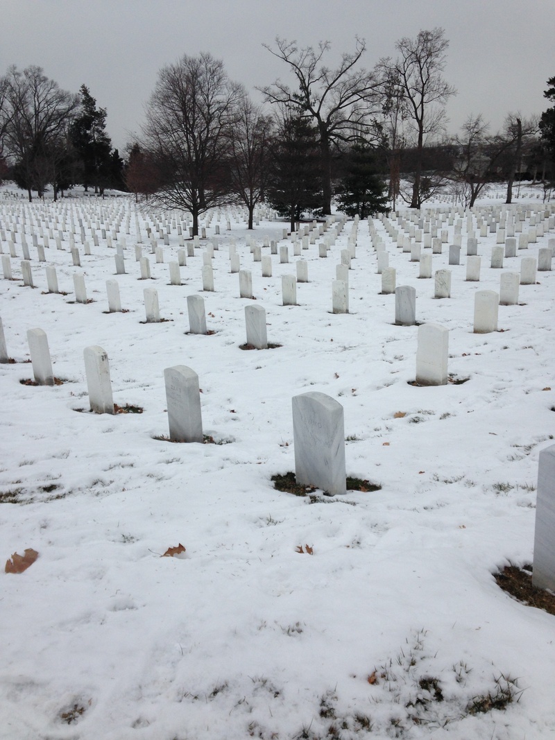 arlington, tombstone, grave, solid, cemetery, no people, plant, white color, unknown soldier, tree, 2K, arlington national cemetery, tranquility, stone