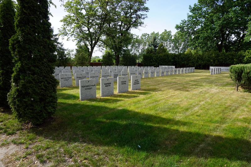 kościan, graves, tranquility, grass, soldier, day, unknown soldier, memory, outdoors, tranquil scene, tree, tombstones, grave, the dead, memorial, sunlight