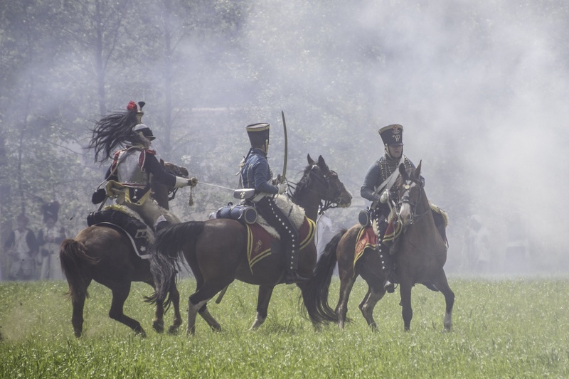 domestic animals, 1080P, activity, belgium, grass, jockey, plant, ride, three, animal wildlife, holding, cannon, animal, horses, military, horse, livestock