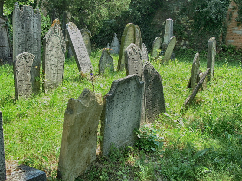 place of Burial, tree, mikulov, solid, cross, stone material, plant, growth, tombstone, tomb, south moravia, cemetery, outdoors, 2K, funeral, the past