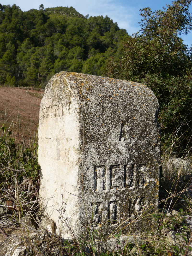built structure, milestone, tombstone, place of Burial, no people, ancient civilization, stone, signal, indicator, growth, cemetery, old, plant, landscape