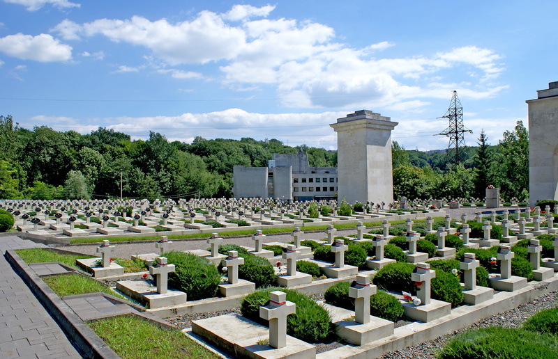 happens nations, people, plant, honor, tree, in a row, outdoors, memorial, memory, day, nature, monument, cloud - sky, history, poland, 4K, ukraine, cemetery