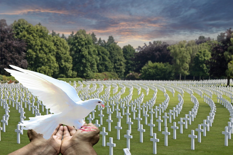 memorial, nature, spread wings, tree, dove let fly, cemetery, outdoors, animal wildlife, s, holding, white dove, plant, cloud - sky, people, fallen soldiers