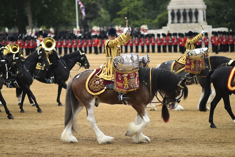 domestic animals, riding, army, trooping the colour, incidental people, mammal, military parade, people, outdoors, drummer, annual, group of people, architecture