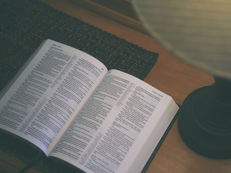expertise, education, text, literature, textbook, room, close-up, 4K, publication, page, open, learning, wisdom, no people, book, paper, religion, studying