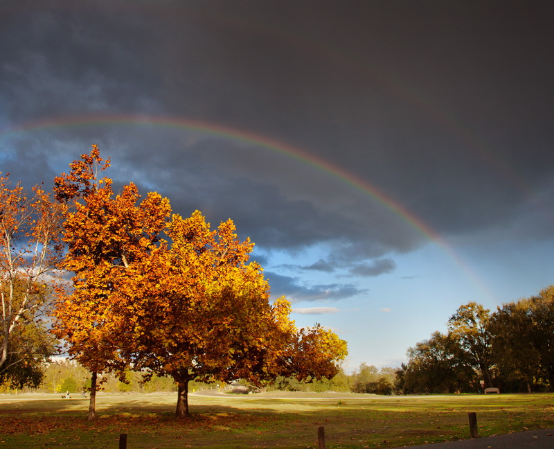 double rainbow, Colours, water droplets, 2K, landscape, yellow, Sacramento  California, all the way, outdoors, passes, Bikeway, season, trees, Sir Isaac Newton