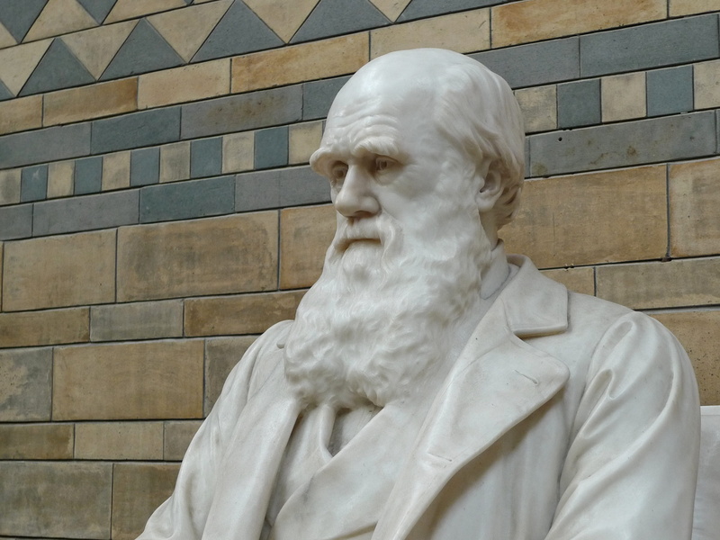 charles, people, human representation, creativity, darwin, day, building exterior, built structure, wall - building feature, sculpture, male likeness, white