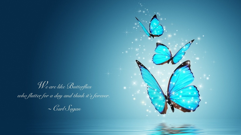 Digital Art, 1080P, Misc, Quote, Carl Sagan, Butterfly