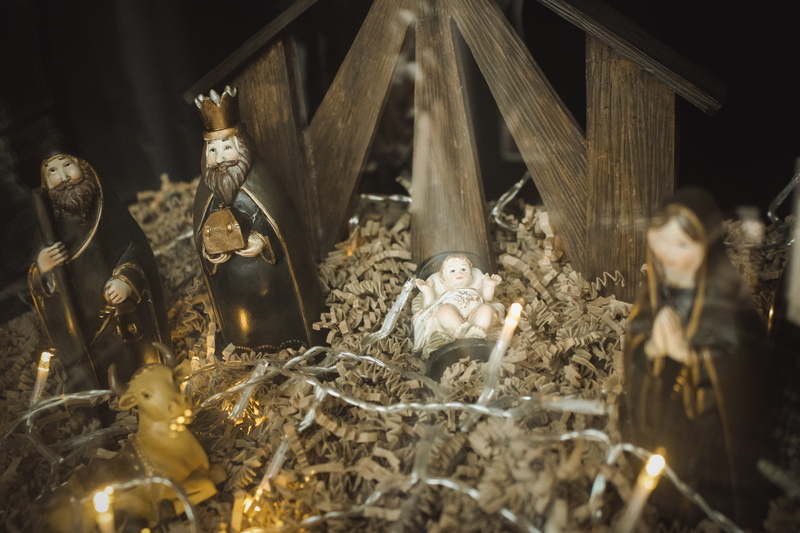 creativity, craft, manger, quail, wood, wildlife, warthog, skeleton, france, nest, person, indoors, representation, no people, rodent, toy, selective focus