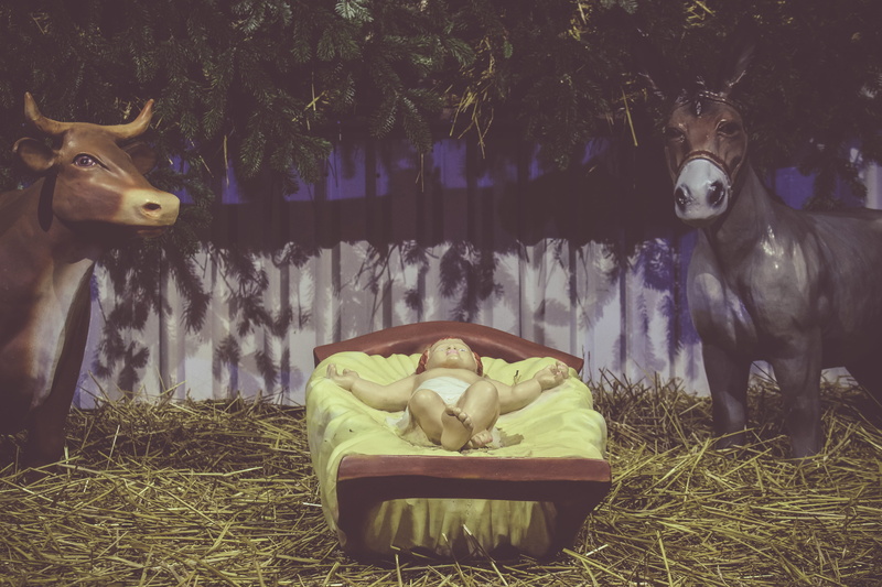 decoration, clothing, representation, outdoors, tire, seat, land, antelope, plant, 5K, apparel, stuffed, cattle, bed, chair, no people, mammal, furniture