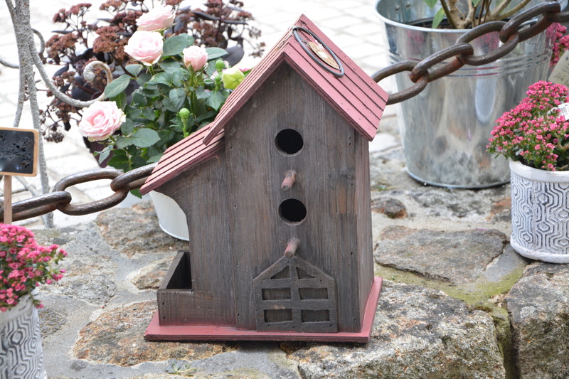 house bird, built structure, day, birds, close-up, no people, manger, birdhouse, nesting, box, nest box, architecture, pink color, wood - material, spirituality