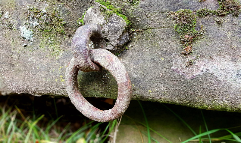 ring, chain, stone trough, decorative, iron ring, metal, weathered, deterioration, plant, planter, no people, nature, day, strength, water trough, weave