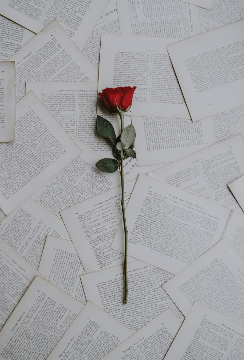 no People, rose, books, symbol, publication, romance, love, indoors, flowering plant, high angle view, close-up, plant part, rose - Flower, book, beauty in nature