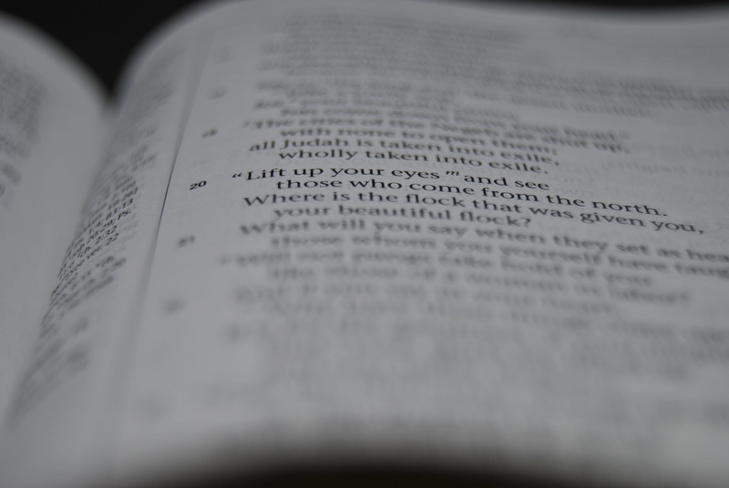 text, 4K, no people, words, still life, religion, study, macro, wisdom, bible, shot, message, publication, education, reading, document, selective focus