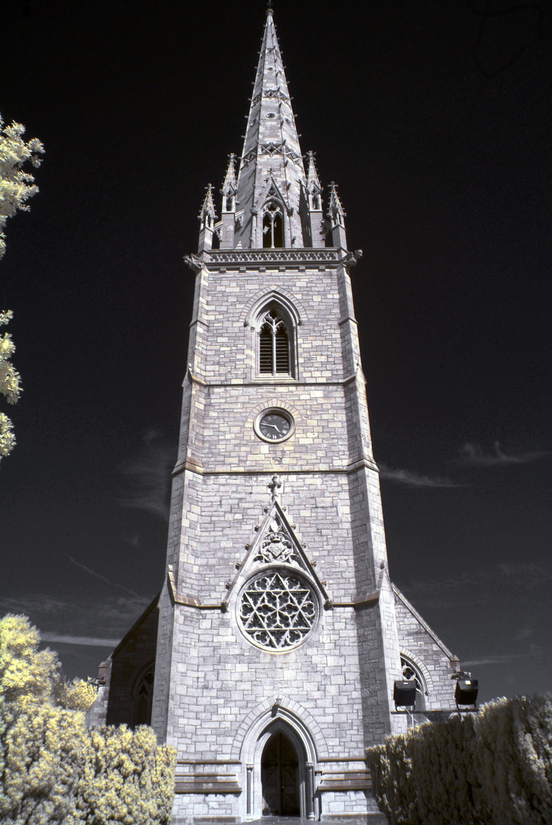 cathedral, built Structure, building, tree, spire, christianity, architecture, grey, no people, belief, outdoors, place of worship, concrete, church, sky
