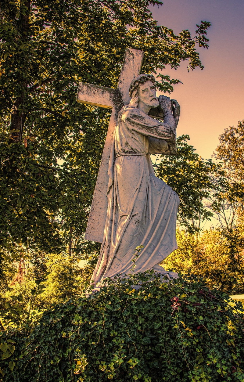 plant, religion, nature, day, gospel, Cross, representation, symbol, religious, faith, craft, sky, christianity, branch, Jesus, christian, female likeness