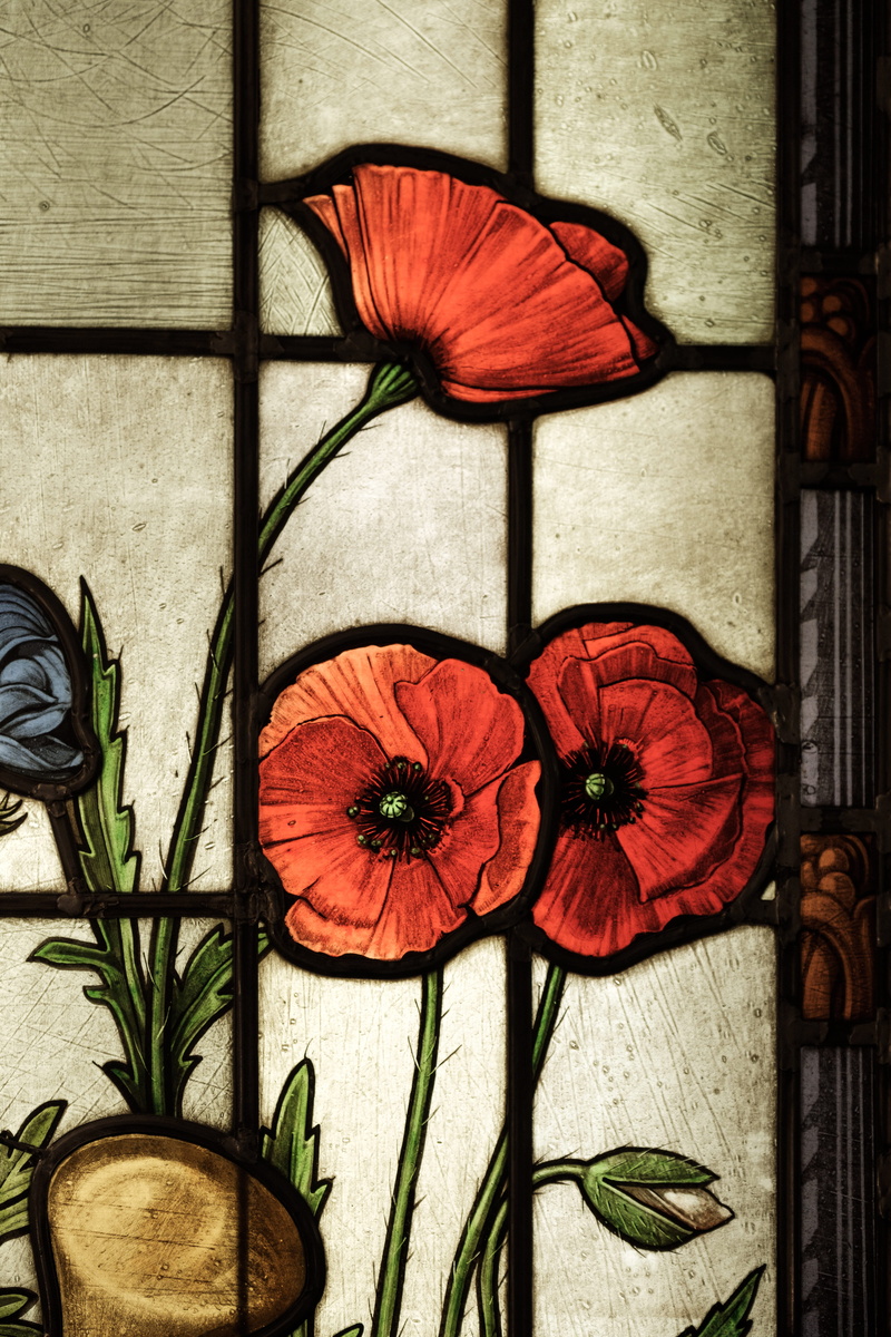 drawing, art, plant, poland, glass, food and drink, healthy eating, flowers, graphics, poppy, krakow, blossom, directly above, church, indoors, day, arrangement