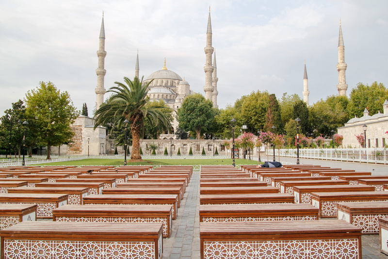 muslim art, built structure, sultanahmet, tree, dome, outdoors, sky, day, travel, landscape, religion, plant, tourism, islamic, monuments, spirituality