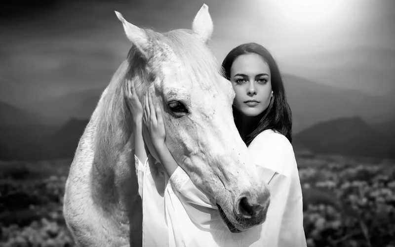 monochrome, young adult, animal wildlife, vertebrate, one animal, animal head, outdoors, horse, animal themes, livestock, animals, women, adult, leisure activity