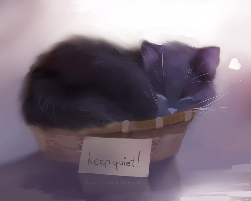 western script, representation, text, 720P, basket, baskets, communication, box, day, feline, paper, business, sleeping, script, close-up, writing