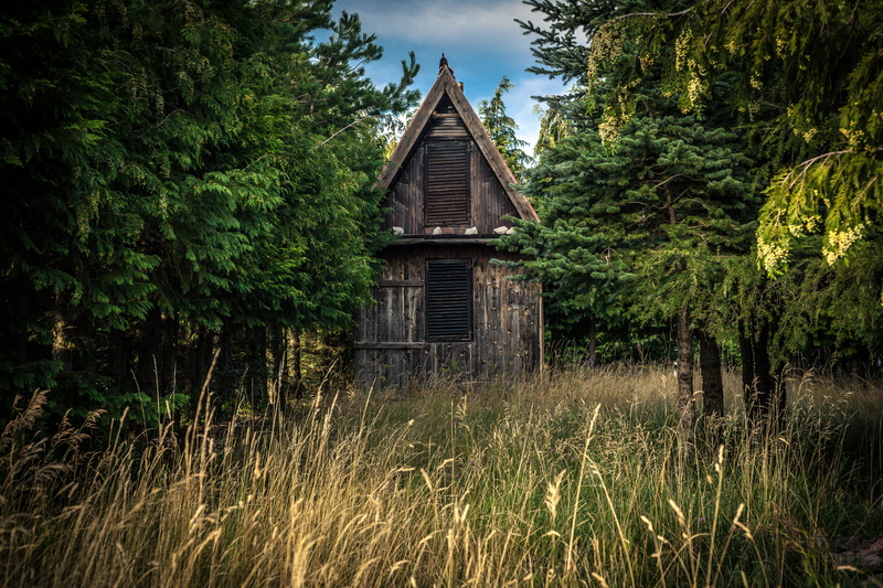 outdoors, brown, non-urban scene, building exterior, conifer, land, countryside, nature, growth, near, grass, 5K, hidden, trees, rural, shack, pine, forest
