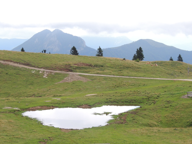 slovenia, landscape, no people, mountain, cloud - sky, lake, mountains, day, water, tranquil scene, non-urban scene, 1080P, green color, mala planina