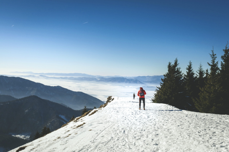 outdoors, walking, altitude, hill, european Alps, scenics, standing, europe, hiking, tree, day, vacations, nature, view, healthy Lifestyle, snow, one Person