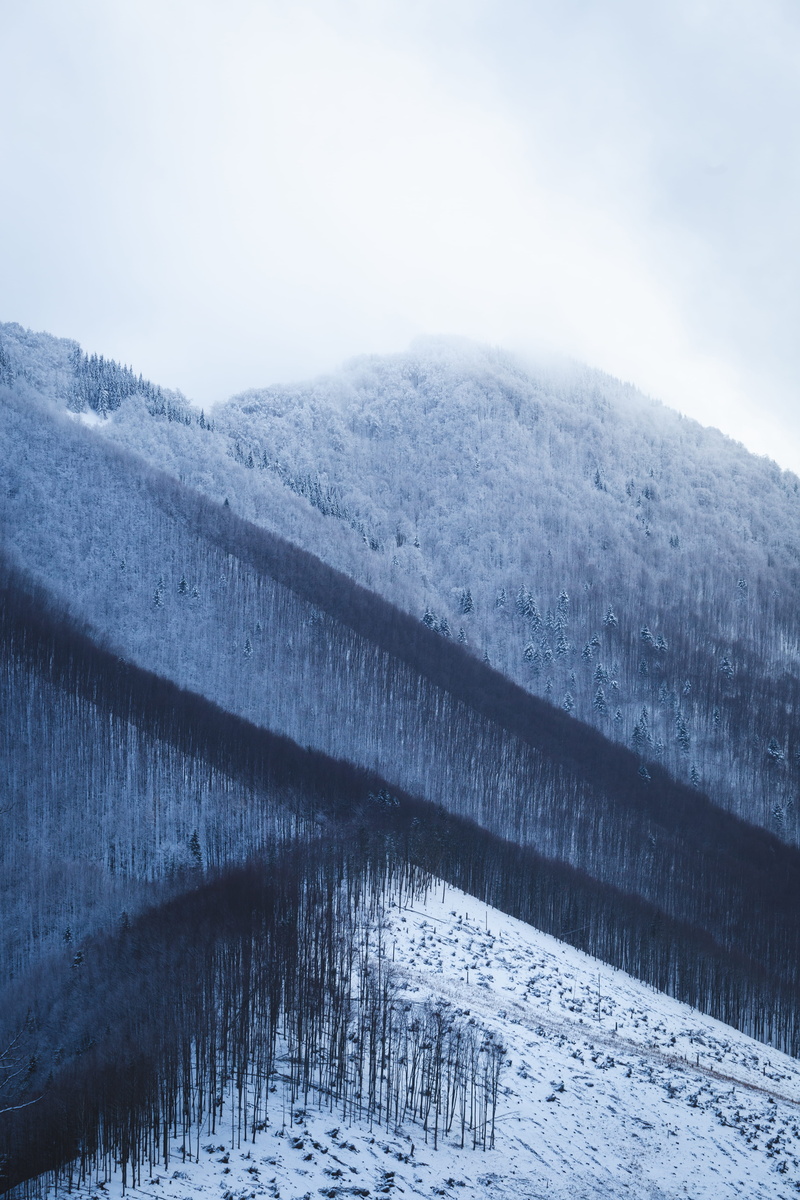 nature, area, mountain, 5K, slovakia, fog, white color, mood, trees, climate, no people, snowcapped mountain, misty, scenics - nature, day, landscape