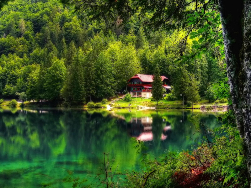 quiet, heaves, retreat, emerald, peaceful, paradise, nature, calmness, green, greenery, serenity, cottahe, lake, 720P