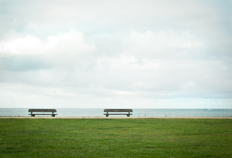 horizon, day, mindful, bench, lonely, water, horizon over water, beach, seat, beauty in nature, sea, scenics - nature, green color, empty, plant, ocean