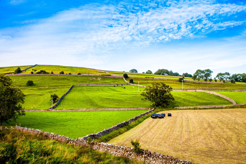 landscape, green color, scenics - nature, tranquil, environment, field, tranquility, 4K, dales, quiet, tranquil scene, green, peace, blue, tree, outdoor