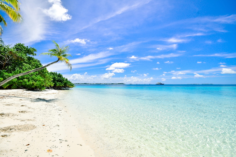 seascape, land, turquoise colored, holiday, tree, seashore, beach, nature, water, outdoors, horizon over water, palm tree, calm, 4K, ocean, sky, beauty in nature