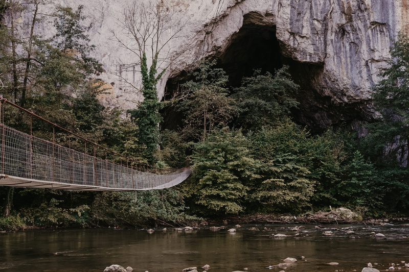 nature, covered, building, waterfront, animal, built structure, flowing water, land, cove, 4K, plants, sea, outdoors, ocean, tree, forest, growth, hole