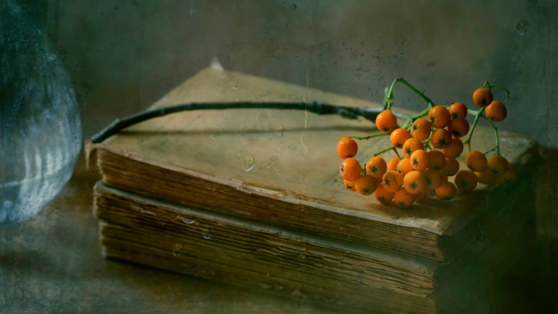 container, healthy eating, wood - material, leaf, close-up, no people, food and drink, still life, ripe, freshness, food, fruits, outdoors, book, orange