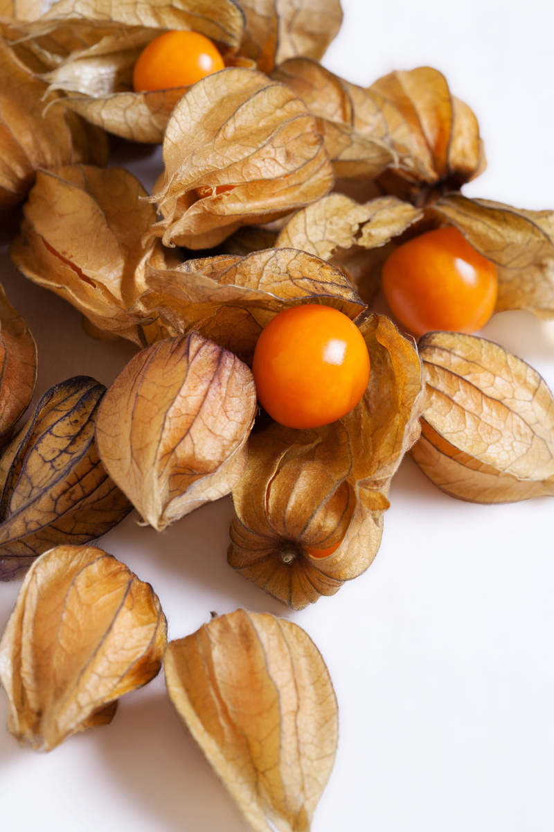 vegan, natural, white background, harvest, south america, nut - food, physalis, surface, flowering, edible, walnut, persimmons, food and drink, encased
