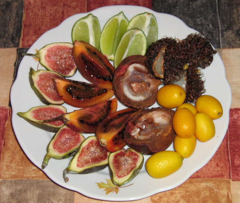 high angle view, fig, breakfast, still life, citrus fruit, directly above, lemon, ready-to-eat, freshness, indoors, vegetable, 1080P, healthy eating, table