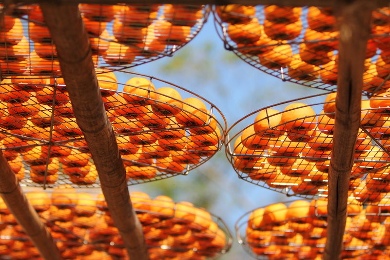 focus on foreground, nature, natural, lighting equipment, persimmon, 5K, hanging, bunch, outdoors, food, market, no people, low angle view, freshness