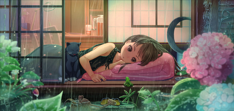 laying on side, cat, rain, frog, 1080P, brunette