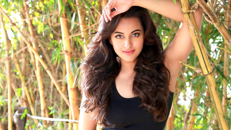 one person, nature, smiling, bollywood, front view, 4k, photo, portrait, headshot, brown hair, beauty, women, Sonakshi Sinha, young women, fashion, adult