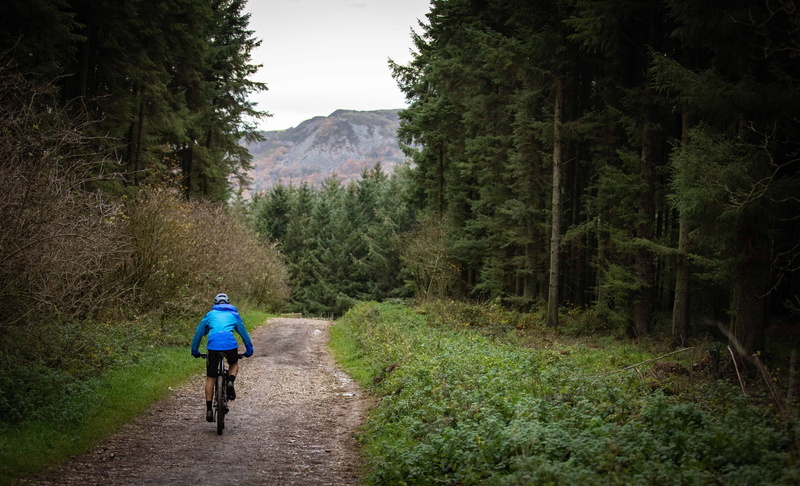 abies, tree, nature, real people, lifestyles, wheel, riding, rear view, full length, 5K, the way forward, adventure, activity, road, dirt road, conifer