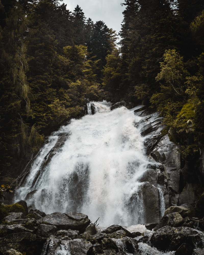 running, tree, wilderness, adventure, forest, nature, water, motion, plant, cliff, creek, flowing water, fir, flowing, growth, leisure activities, beauty in nature