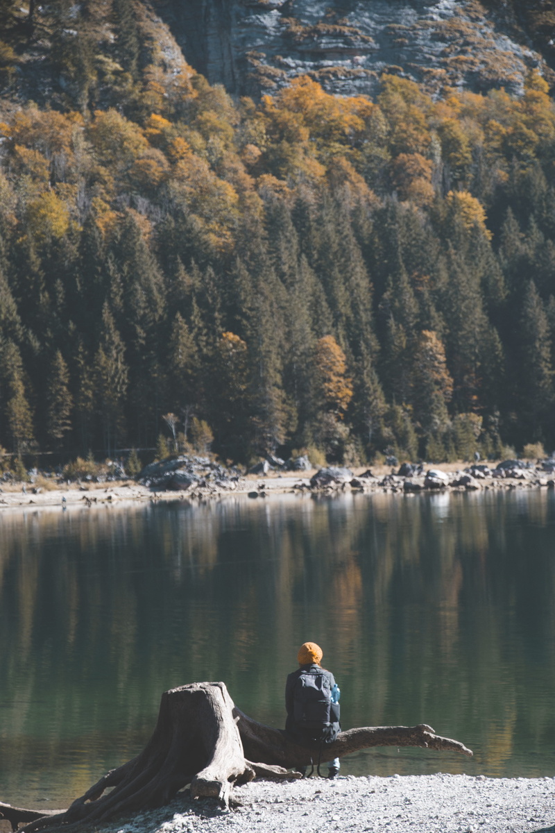 non-urban scene, day, near, tree, lake, 5K, boat, transportation, outdoors, human, tranquil scene, fir, abies, tranquility, man, vehicle, root, rowboat