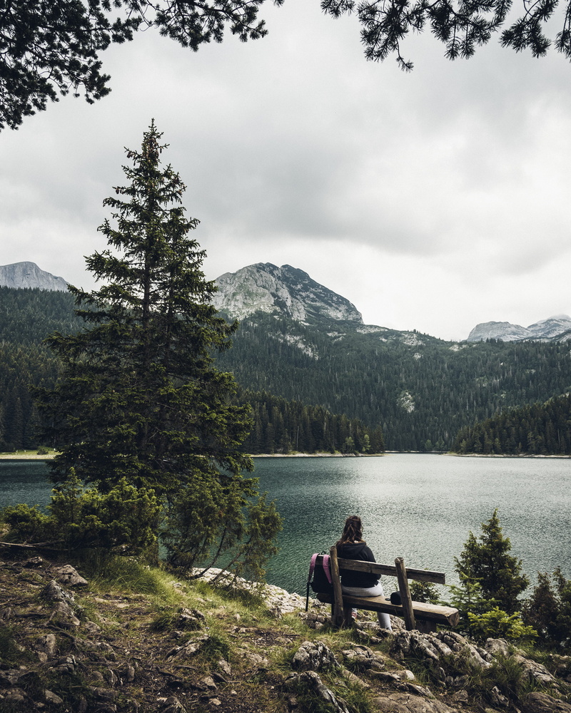 fir, non-urban scene, beauty in nature, facing, abies, tranquility, flora, lake, montenegro, conifer, sitting, lifestyles, rear view, mountain, looking at view