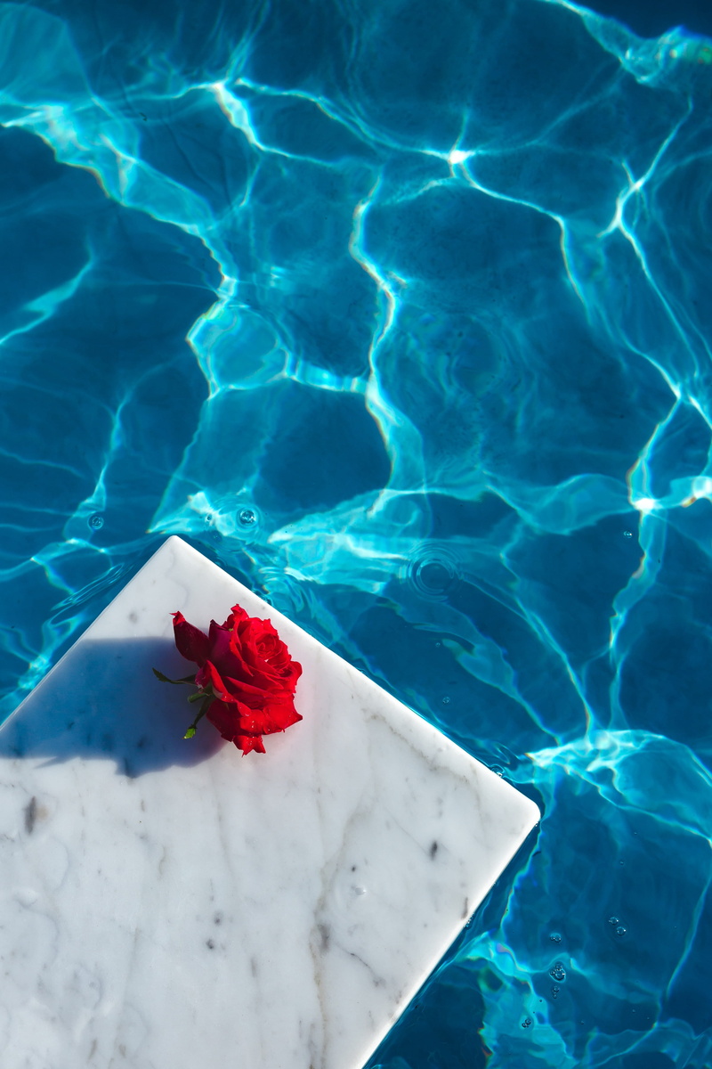 freshness, day, flowering plant, pool, fresh, floating, beauty in nature, floating on water, swimming pool, water, blue, swimming, clean, aqua, no people