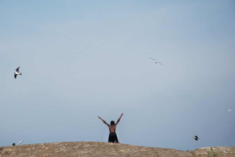 bird, seagull, nature, Birds, standing, leisure activity, Lake, Clouds, copy space, Sea, body part, freedom, heaven, human limb, animal themes, animals in the wild