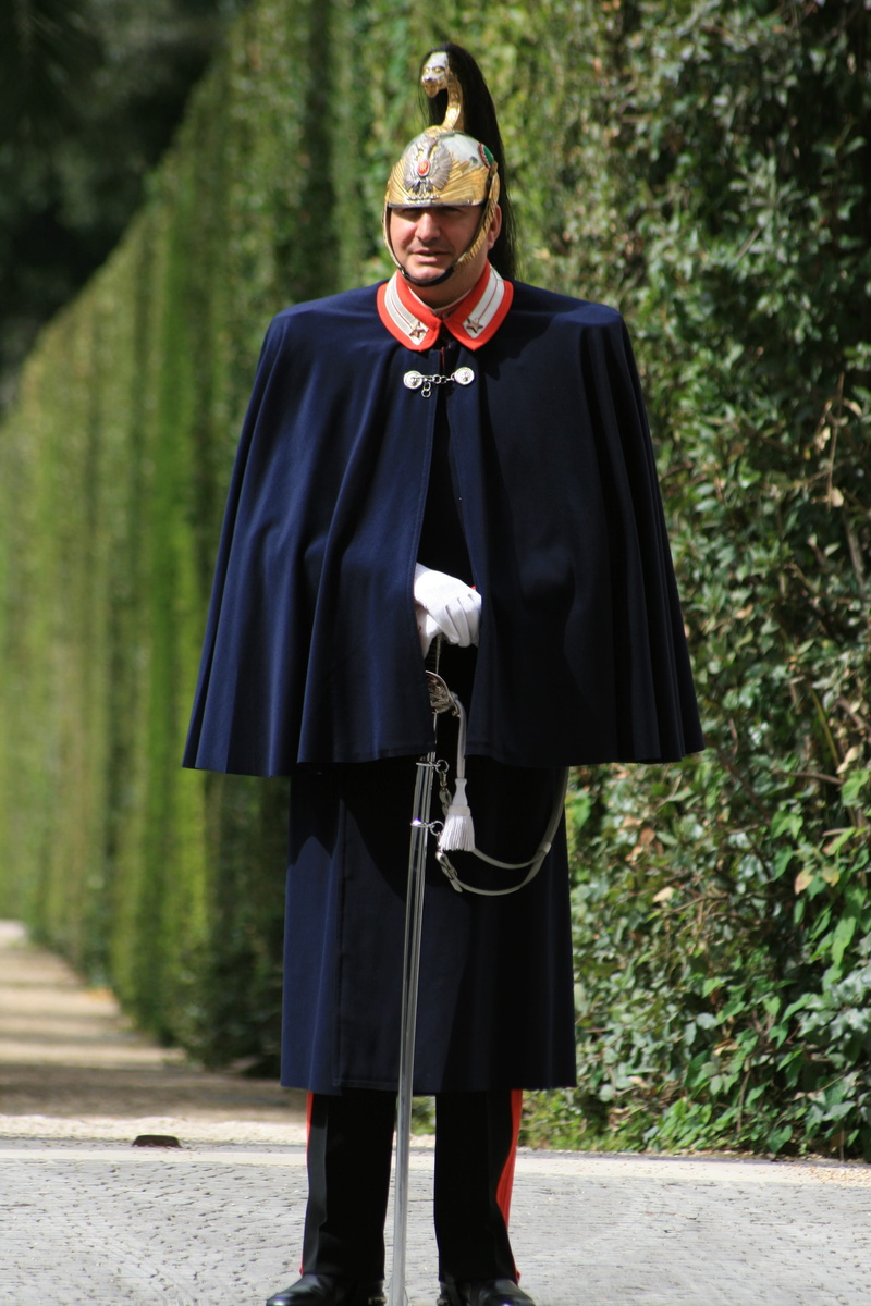 achievement, standing, full length, mortarboard, people, vatican, day, success, swiss guard, real people, graduation gown, focus on foreground, 4K, guard