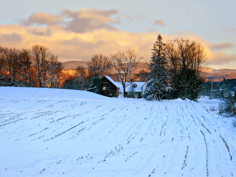 america, outdoors, plant, snow, cold temperature, tranquility, winter, old, scenics, moody, sunset, barn, Landscape, countryside, scenic, tranquil scene