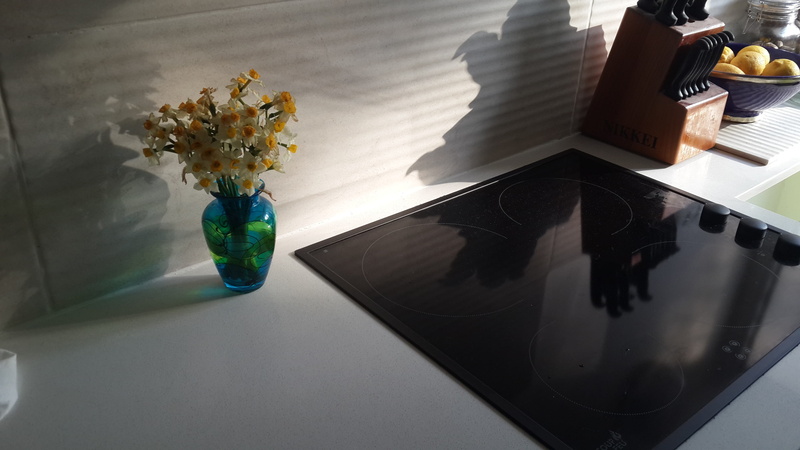 cooker, glass, cook, cooking, black, high angle view, indoors, hot, day, top, burner, beauty in nature, stove, electric, kitchen, 4K, close-up, flower arrangement