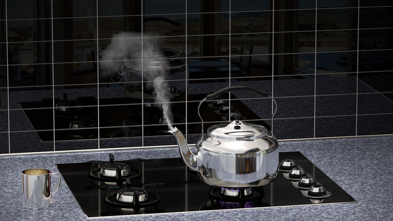 stove, blender, kitchen utensil, close-up, animal, tea, gas, burner - stove top, one animal, domestic room, 4K, appliance, live, food and drink, cage