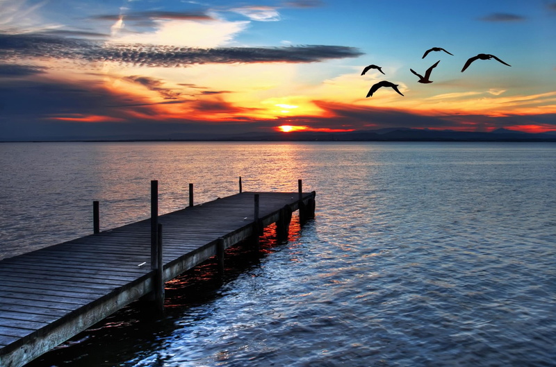 sunset, clouds, 1080P, seagulls
